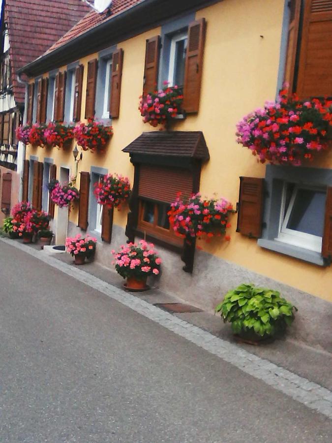 Relais De La Diligence Daire Romanswiller Dış mekan fotoğraf